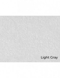 Light Gray 2